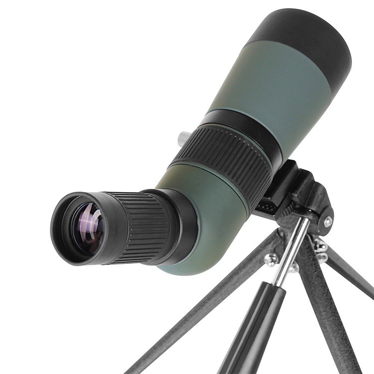 product-750-750 product-750-750