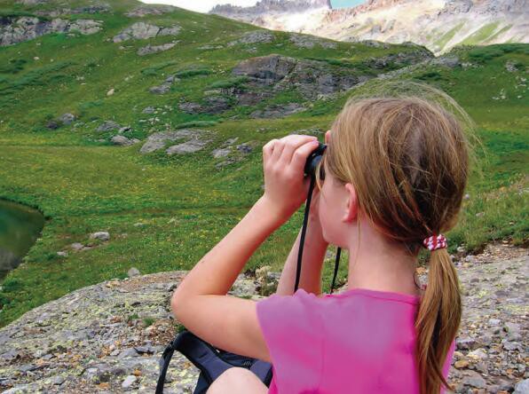 product-596-444 product-596-444