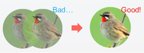 info-469-174 info-469-174