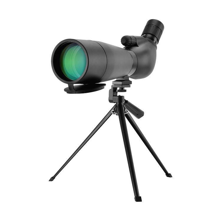 product-750-750 product-750-750